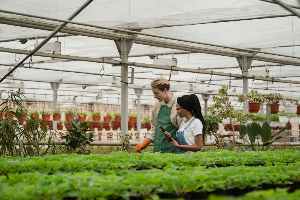 Two horticulturists examine and discuss plants in a large modern greenhouse, surrounded by lush greenery.
